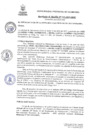 Vista preliminar de documento RAN233-2023