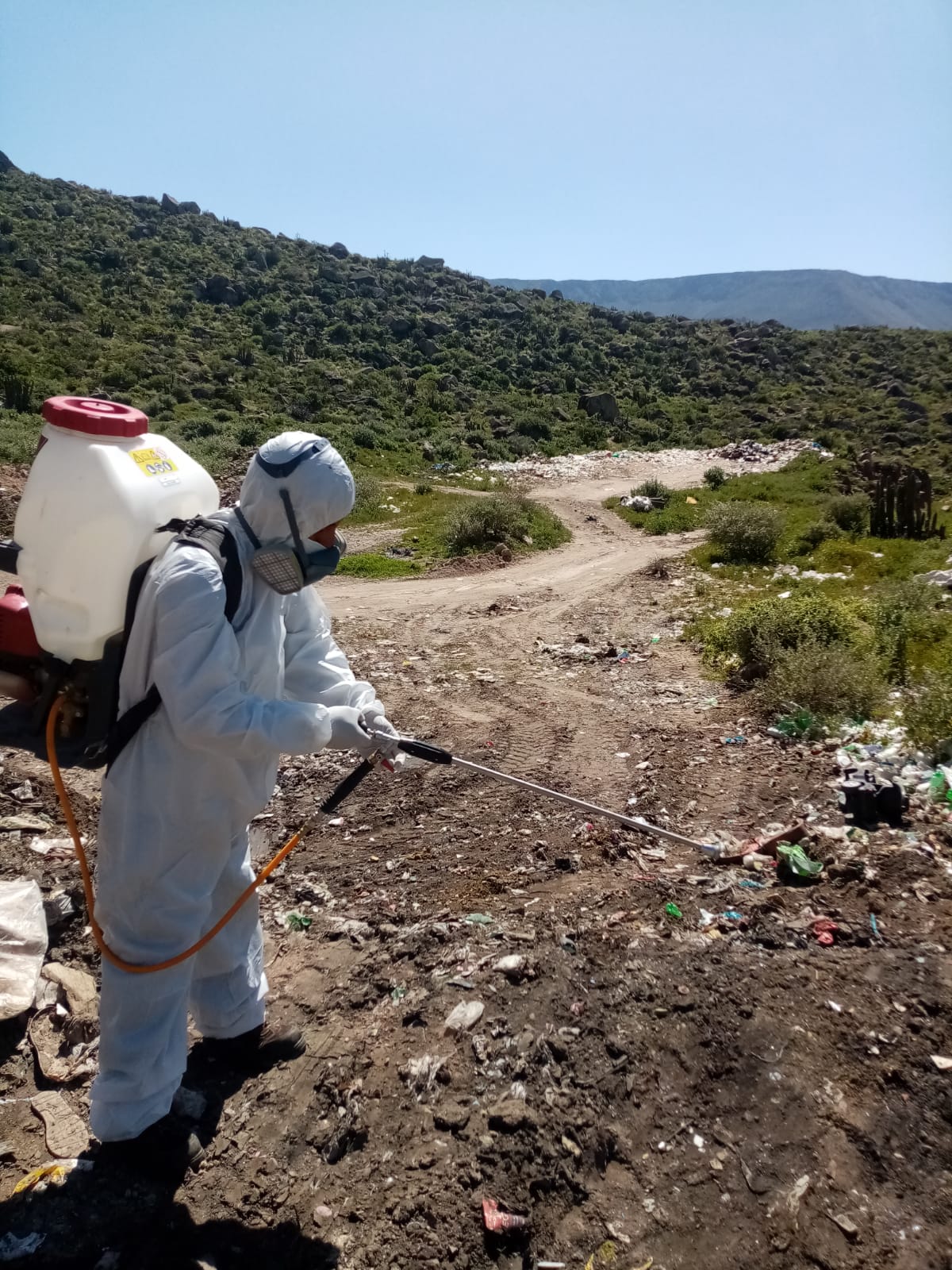 Imagen del trabajo