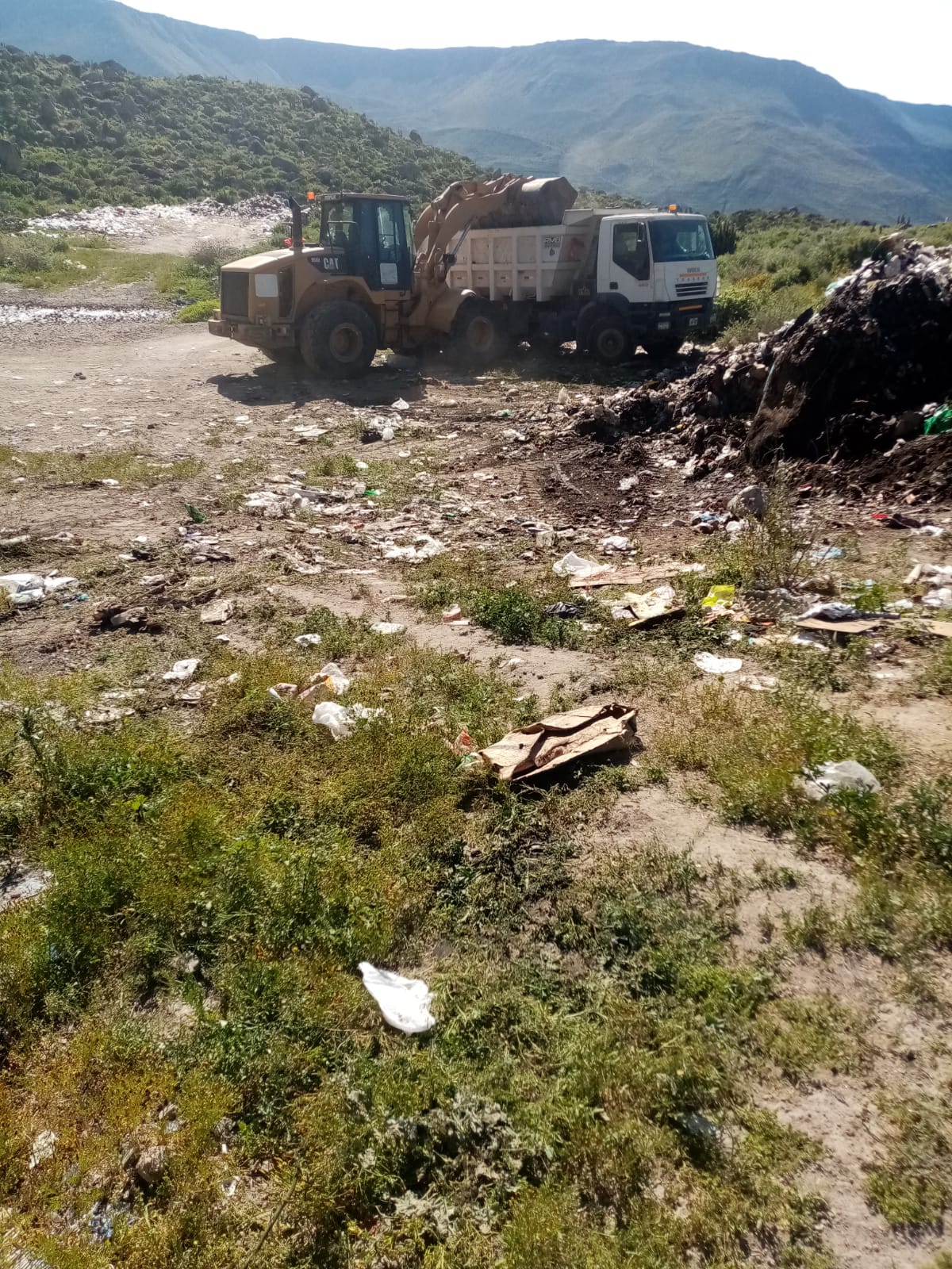 Imagen del trabajo