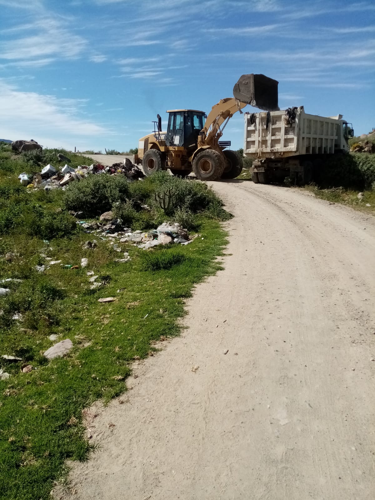 Imagen del trabajo