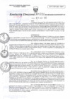 Vista preliminar de documento RD N°032