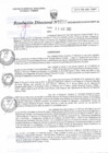 Vista preliminar de documento RD N°033