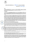 Vista preliminar de documento RG.-000207-2023-GSATDE