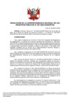 Vista preliminar de documento Resolución de la Superintendencia Nacional de los Registros Públicos N°067-2023-SUNARP/SN