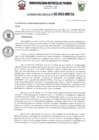 Vista preliminar de documento a33