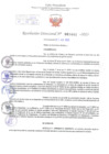 Vista preliminar de documento Resolución Directoral. Nº 1441 - 2023 