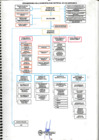 Vista preliminar de documento img20230425_10073004