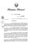 Vista preliminar de documento RD N° 142-2023