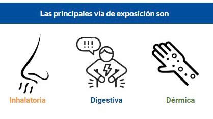 ¿Cómo identificar agentes cancerígenos en el ambiente de trabajo?