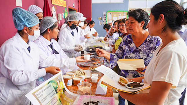 Concurso Inter escolar de la Palta en Majes