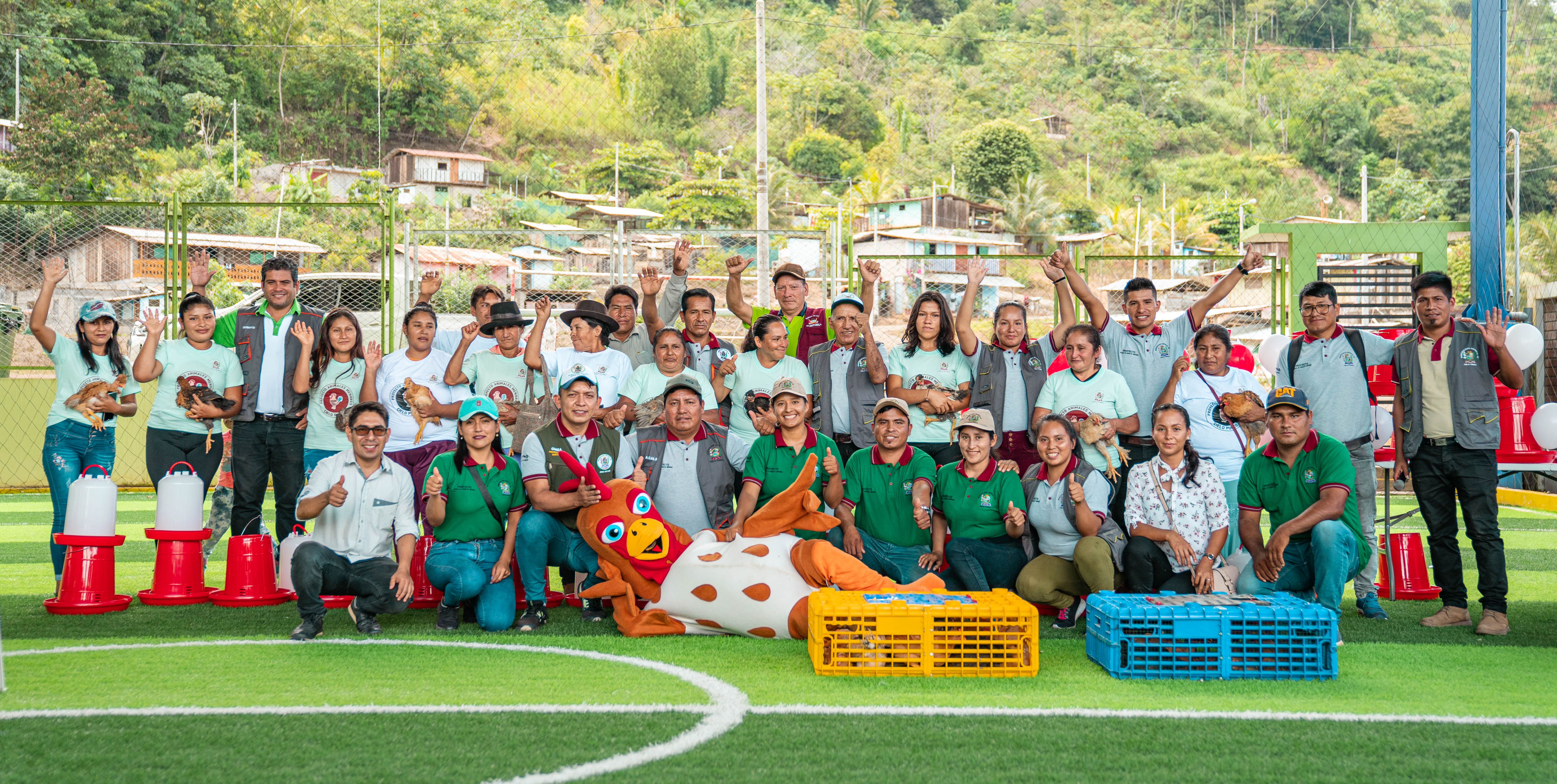 Entrega de pollos criollos