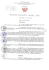 Vista preliminar de documento Resolución Directoral. Nº 1451 - 2023 