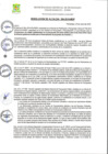 Vista preliminar de documento RA-2019-294.pdf