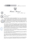 Vista preliminar de documento Resolucion Directoral 081Uzkw4