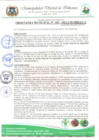 Vista preliminar de documento ORDENANZA MUNICIPAL N 03