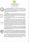 Vista preliminar de documento AC-2020-060.pdf