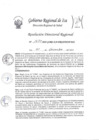 Vista preliminar de documento Resolucion Directoral Regional 1624-2022