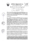 Vista preliminar de documento Resolucion Directoral Regional 1675-2022