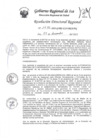Vista preliminar de documento Resolucion Directoral Regional 1676-2022