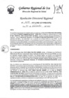 Vista preliminar de documento Resolucion Directoral Regional 1699-2022