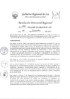 Vista preliminar de documento Resolucion Directoral Regional 1708-2022