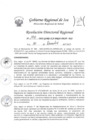 Vista preliminar de documento Resolucion Directoral Regional 1711-2022