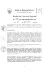 Vista preliminar de documento Resolucion Directoral Regional 1720-2022