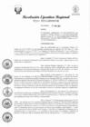 Vista preliminar de documento RER 234