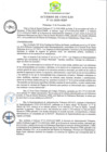 Vista preliminar de documento AC-2020-061.pdf