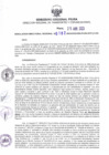 Vista preliminar de documento RDR N° 0187-2023-25-04-2023