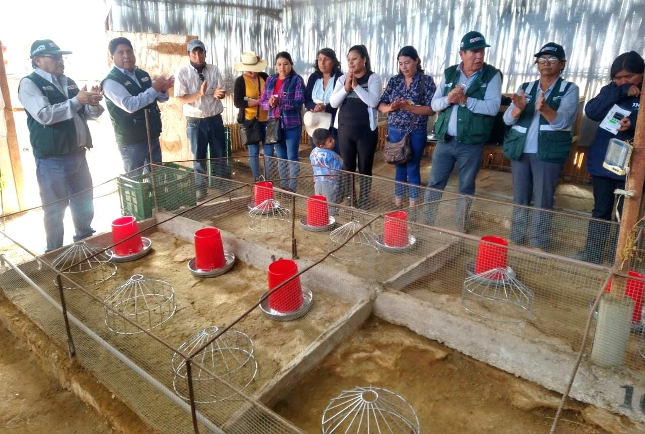 Entrega de módulos demostrativos para cuyes en Moquegua