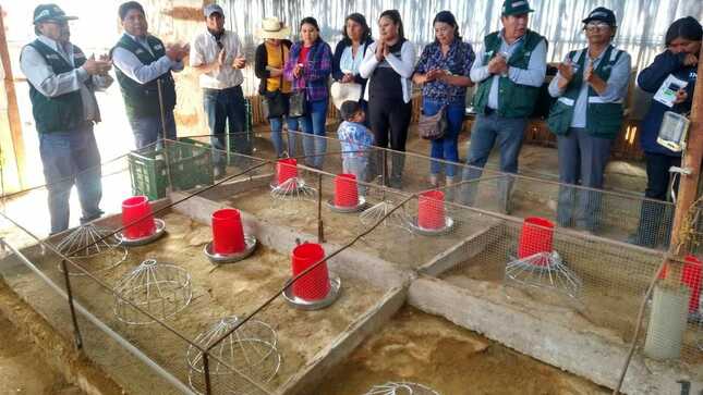 Entrega de módulos demostrativos para cuyes en Moquegua