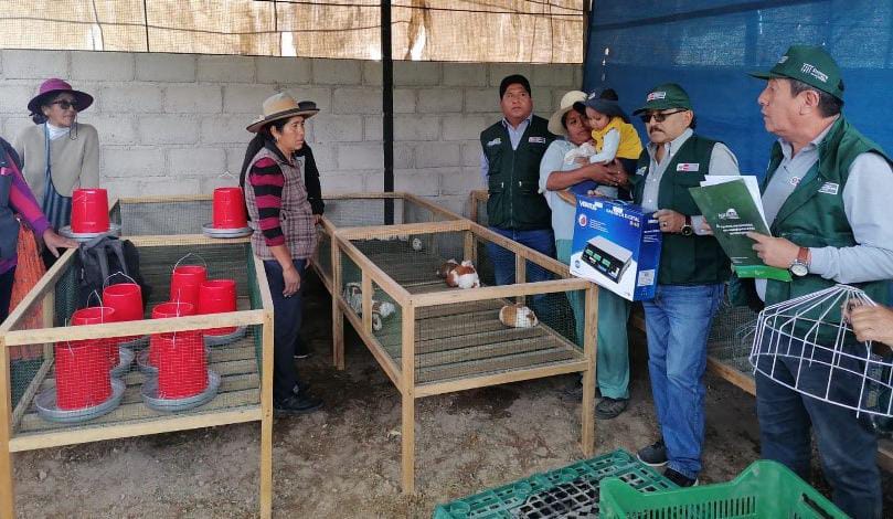 Entrega de módulos demostrativos para cuyes en Moquegua