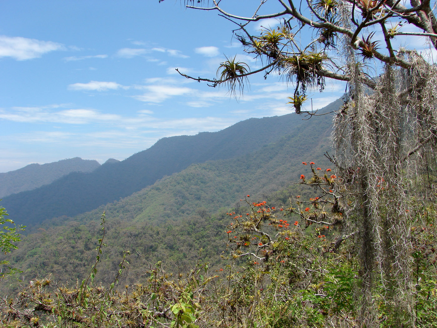 Área De Conservación Regional Bosques Secos Salitral Huarmaca