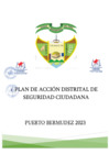 Vista preliminar de documento PLAN DE ACCCION CODISEC PTO.BERMUDEZ 2023