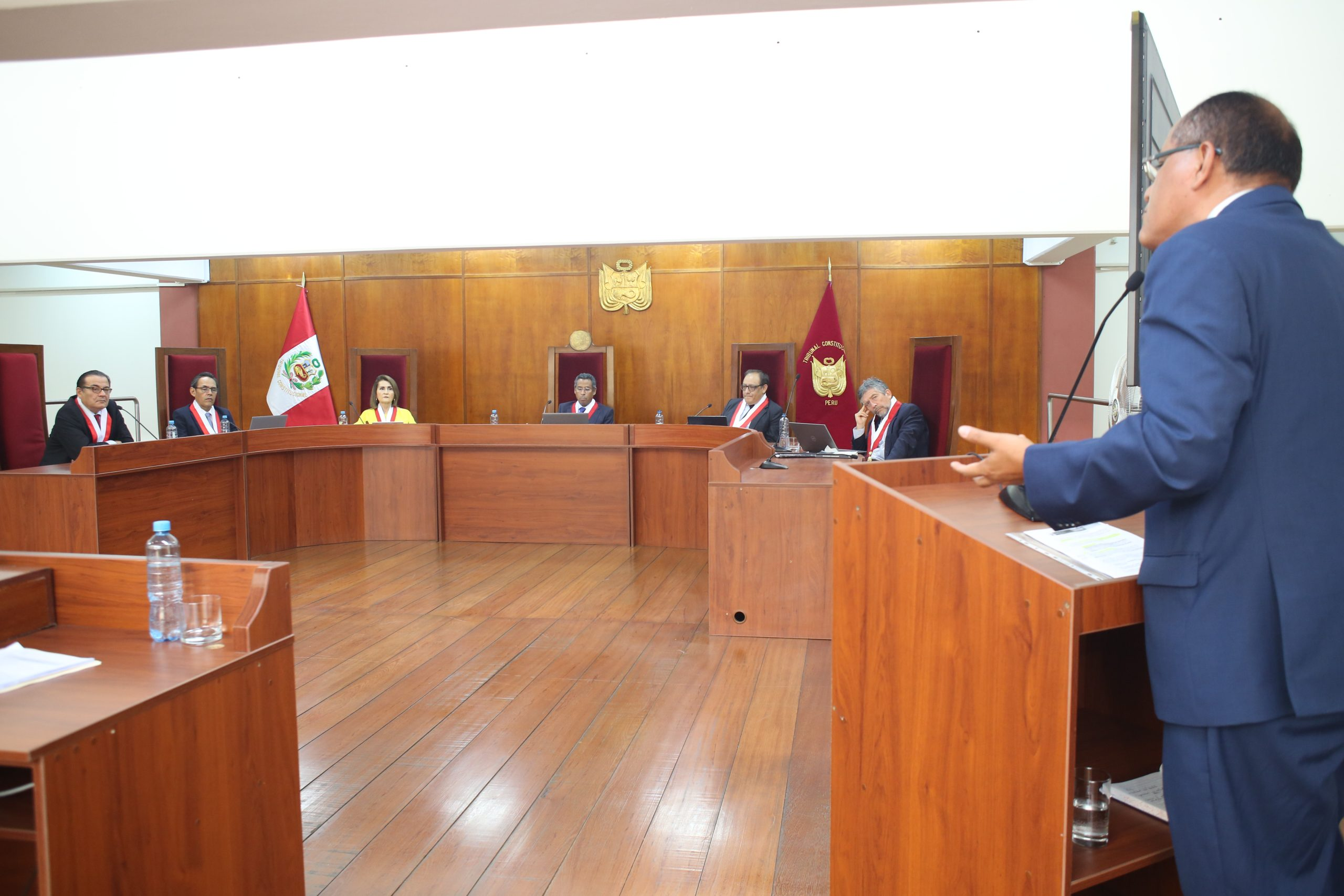 Audiencia Pública del Tribunal Constitucional.