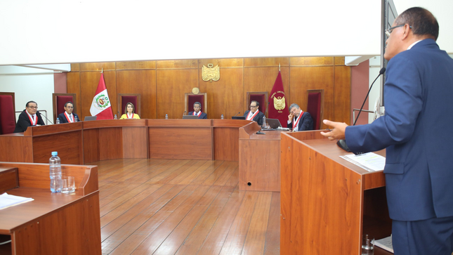 Audiencia Pública del Tribunal Constitucional.