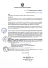 Vista preliminar de documento RD038-2019