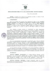 Vista preliminar de documento RD 15