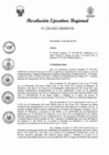 Vista preliminar de documento RER 228