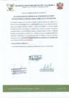 Vista preliminar de documento ACTA DE EVALUCIÓN CURRICULAR
