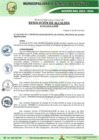 Vista preliminar de documento 243