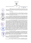 Vista preliminar de documento RES-445-2023-GR