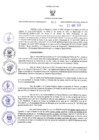 Vista preliminar de documento RES-446-2023-GR