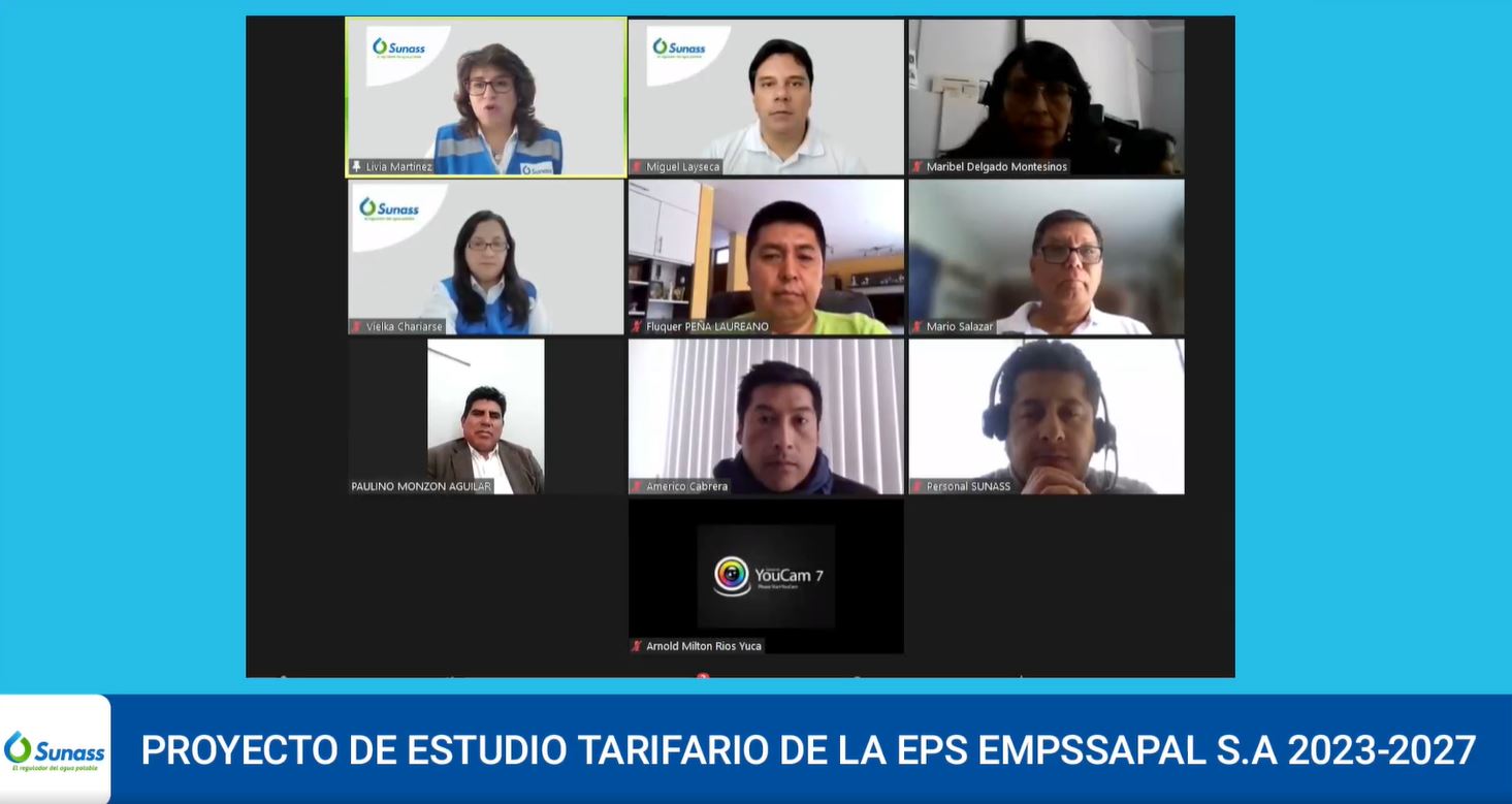 Audiencia pública virtual