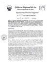 Vista preliminar de documento Resolucion Directoral Regional 0013-2023