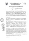 Vista preliminar de documento Resolucion Directoral Regional 0014-2023