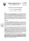 Vista preliminar de documento Resolucion Directoral Regional 0010-2023