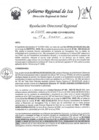 Vista preliminar de documento Resolucion Directoral Regional 0009-2023