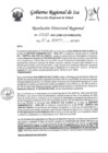 Vista preliminar de documento Resolucion Directoral Regional 0029-2023